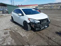 KNAFX4A69G5541932 2016 KIA FORTE