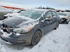 KNAFX4A69G5621005 2016 KIA FORTE