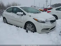 KNAFX4A6XG5492823 2016 KIA FORTE