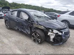 KNAFX4A83G5490624 2016 KIA FORTE