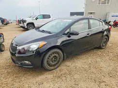 KNAFX4A87G5587356 2016 KIA FORTE