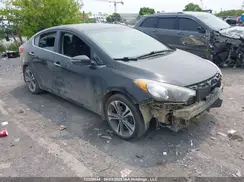 KNAFX4A8XG5484593 2016 KIA FORTE