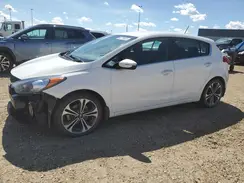 KNAFX5A80G5660377 2016 KIA FORTE
