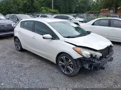 KNAFX5A81G5490773 2016 KIA FORTE