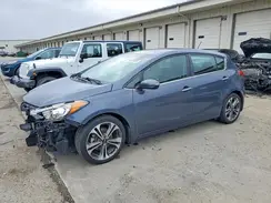 KNAFX5A81G5632880 2016 KIA FORTE
