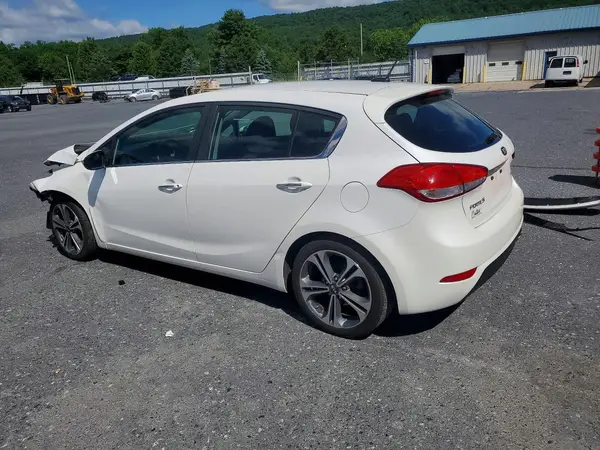 KNAFX5A84G5627298 2016 KIA FORTE - Image 2