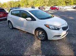 KNAFX5A87G5494553 2016 KIA FORTE