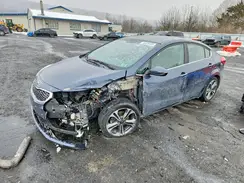 KNAFZ4A83G5490391 2016 KIA FORTE