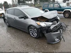 KNAFZ5A30G5517380 2016 KIA FORTE