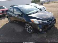 KNAFZ5A31G5499133 2016 KIA FORTE