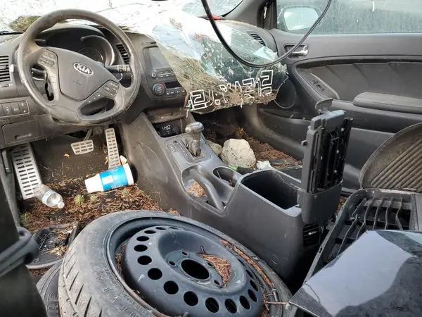 KNAFZ6A38G5618835 2016 KIA FORTE - Image 8