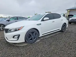 KNAGM4AD0G5096427 2016 KIA OPTIMA