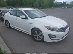 KNAGM4AD1G5095691 2016 KIA OPTIMA
