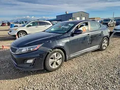 KNAGM4AD1G5096601 2016 KIA OPTIMA