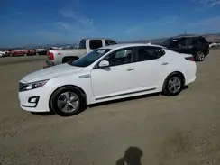 KNAGM4AD2G5096543 2016 KIA OPTIMA