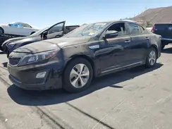KNAGM4AD3G5099578 2016 KIA OPTIMA