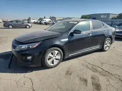 KNAGM4AD4G5095782 2016 KIA OPTIMA