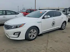KNAGM4AD4G5099556 2016 KIA OPTIMA