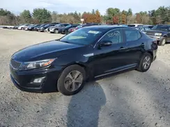 KNAGM4AD5G5096567 2016 KIA OPTIMA