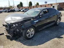 KNAGM4AD6G5096075 2016 KIA OPTIMA