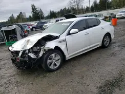 KNAGM4AD6G5099283 2016 KIA OPTIMA