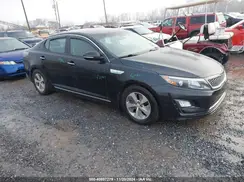 KNAGM4AD7G5092598 2016 KIA OPTIMA