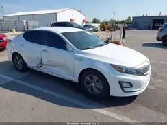 KNAGM4AD8G5093016 2016 KIA OPTIMA