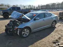KNAGM4AD8G5096787 2016 KIA OPTIMA