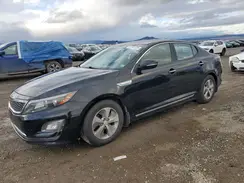KNAGM4AD9G5096376 2016 KIA OPTIMA