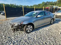 KNAGM4ADXG5095429 2016 KIA OPTIMA