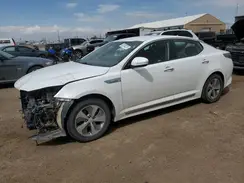 KNAGM4ADXG5096807 2016 KIA OPTIMA