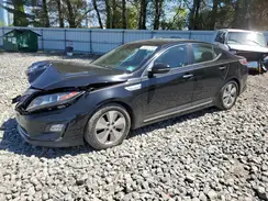 KNAGN4AD0G5092004 2016 KIA OPTIMA