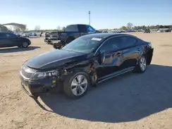 KNAGN4AD0G5092732 2016 KIA OPTIMA