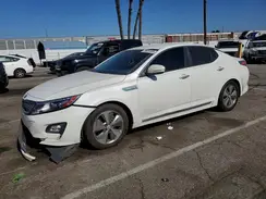 KNAGN4AD0G5093959 2016 KIA OPTIMA