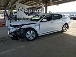 KNAGN4AD0G5093976 2016 KIA OPTIMA