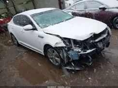 KNAGN4AD0G5099003 2016 KIA OPTIMA