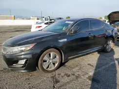 KNAGN4AD4G5093480 2016 KIA OPTIMA