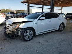 KNAGN4AD5G5098395 2016 KIA OPTIMA