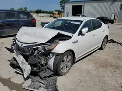 KNAGN4AD6G5092010 2016 KIA OPTIMA
