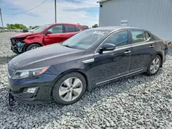 KNAGN4AD6G5098292 2016 KIA OPTIMA