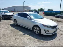 KNAGN4AD6G5099104 2016 KIA OPTIMA
