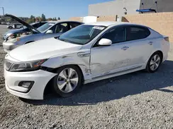 KNAGN4AD7G5098995 2016 KIA OPTIMA