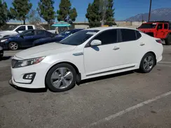 KNAGN4AD8G5092025 2016 KIA OPTIMA