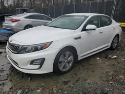 KNAGN4AD8G5092039 2016 KIA OPTIMA