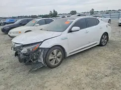 KNAGN4AD8G5094955 2016 KIA OPTIMA
