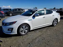 KNAGN4AD8G5099010 2016 KIA OPTIMA