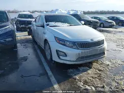 KNAGN4AD8G5099377 2016 KIA OPTIMA