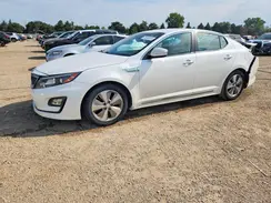 KNAGN4AD9G5092003 2016 KIA OPTIMA