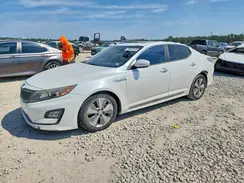 KNAGN4AD9G5093958 2016 KIA OPTIMA