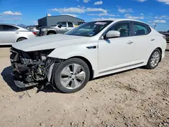 KNAGN4ADXG5091913 2016 KIA OPTIMA
